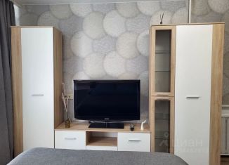 Сдается в аренду 1-комнатная квартира, 30 м2, Александров, улица Терешковой, 8