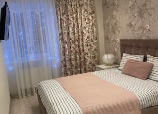Аренда 2-комнатной квартиры, 50 м2, Владимирская область, бульвар Всполье, 30