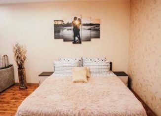 Сдаю в аренду 1-ком. квартиру, 43 м2, Воронеж, улица Димитрова, 27