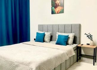 Сдаю квартиру студию, 30 м2, Волгоград, улица Степанищева, 4, Советский район