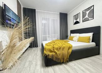 Однокомнатная квартира в аренду, 41 м2, Альметьевск, проспект Строителей, 70Б