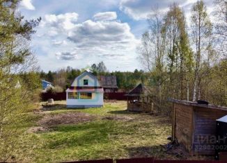 Продам дачу, 52 м2, Ленинградская область, Рябиновая улица