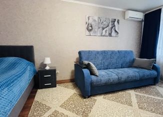 1-комнатная квартира в аренду, 32 м2, село Дивеево, улица Симанина, 3
