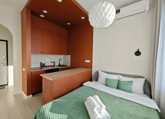 Сдаю в аренду квартиру студию, 21 м2, Татарстан