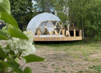 Дом в аренду, 25 м2, Ленинградская область, улица Симоняка, 21