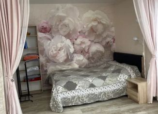 Сдача в аренду 1-ком. квартиры, 35 м2, Выборг, проспект Ленина, 5