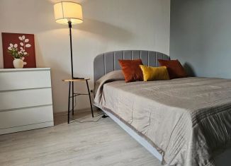 Сдам 1-комнатную квартиру, 37 м2, Кудрово, проспект Строителей, 3