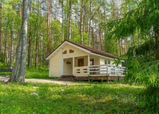 Сдача в аренду дома, 45 м2, поселок Ромашки, Береговая улица, 2