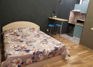 Сдача в аренду квартиры студии, 25 м2, Ленинградская область, проспект Ленина, 8