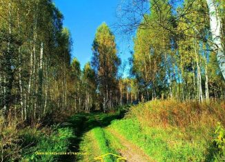 Продается земельный участок, 30 сот., Нижегородская область, улица Гагарина