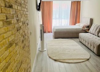 Квартира в аренду студия, 32 м2, село Дивеево, улица Симанина, 4