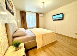 Сдам в аренду 1-комнатную квартиру, 45 м2, Самара, улица Дыбенко, 23, метро Московская