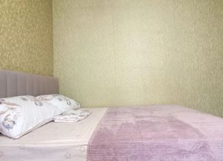 Сдам однокомнатную квартиру, 44 м2, Новосибирск, Владимировская улица, 21