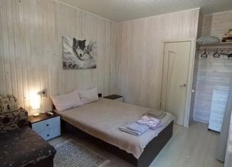 Сдаю в аренду дом, 25 м2, хутор Бетта, Речная улица, 3