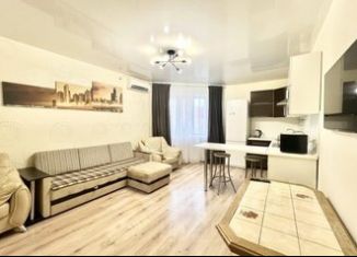 Сдам в аренду двухкомнатную квартиру, 60 м2, Самара, проспект Карла Маркса, 55, метро Гагаринская