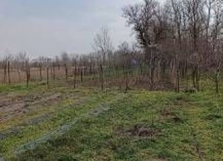 Продам дачу, 38 м2, Краснодарский край, Молодёжная улица, 51