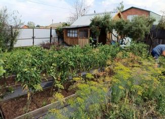 Участок на продажу, 4 сот., Челябинская область, 6-я улица, 559