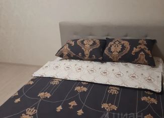Однокомнатная квартира в аренду, 31 м2, Челябинская область, Советский переулок, 6