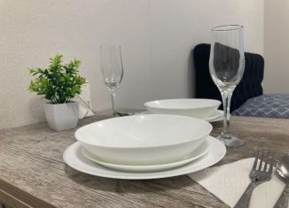 Сдаю квартиру студию, 30 м2, Ижевск, улица Карла Маркса, 120к2, Первомайский район