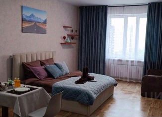 Сдаю в аренду 1-ком. квартиру, 40 м2, Республика Башкортостан, улица Аксакова, 81