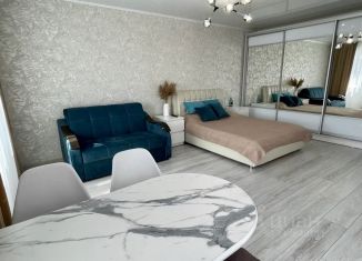 Сдача в аренду квартиры студии, 35 м2, Алтайский край, проспект Ленина, 52