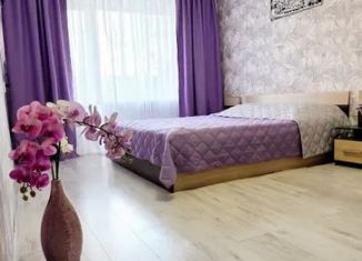 Сдам в аренду однокомнатную квартиру, 35 м2, Гусев, Сапёрная улица, 5А