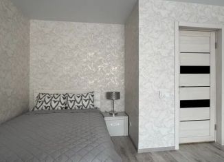 1-ком. квартира в аренду, 40 м2, Омск, улица Гуртьева, 33/1, Ленинский округ
