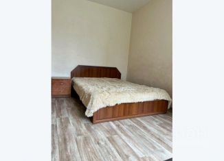 2-комнатная квартира в аренду, 50 м2, Алтайский край, переулок Геблера, 30
