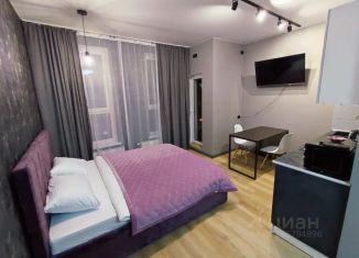 Квартира в аренду студия, 24 м2, Челябинская область, улица Елькина, 91