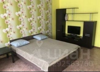 Сдача в аренду 1-ком. квартиры, 31 м2, Туймазы, улица Комарова, 31