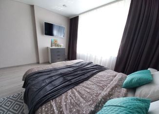 Сдается в аренду 1-ком. квартира, 45 м2, Белгородская область, улица Калинина, 3
