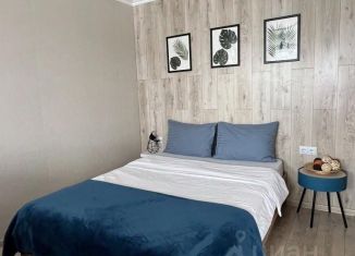 Сдаю 1-комнатную квартиру, 30 м2, Оренбург, проспект Победы, 2Б