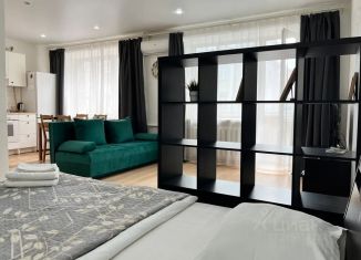 Сдаю в аренду квартиру студию, 32 м2, Уфа, улица Заки Валиди, 43А, Кировский район