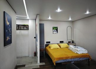Сдается в аренду 1-комнатная квартира, 30 м2, село Териберка, Школьная улица
