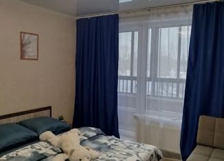 Аренда квартиры студии, 20 м2, Воронеж, улица Богдана Хмельницкого, 53А, Железнодорожный район