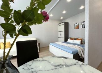Сдам однокомнатную квартиру, 42 м2, Иркутск, улица Пискунова, 138
