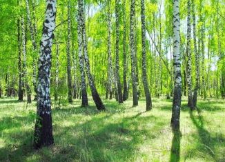 Продаю земельный участок, 8.01 сот., деревня Русятино