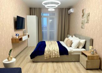 Сдам 2-ком. квартиру, 60 м2, Воронеж, улица 45-й Стрелковой Дивизии, 64/2, Коминтерновский район