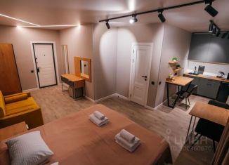 Сдается однокомнатная квартира, 45 м2, Мурманск, проспект Ленина, 7