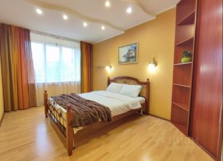 Аренда 2-ком. квартиры, 54 м2, Пермь, улица Плеханова, 66, Дзержинский район