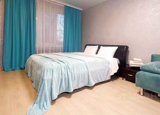 Сдача в аренду 1-комнатной квартиры, 30 м2, Мурманск, улица Героев Рыбачьего, 38, Первомайский округ
