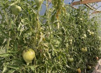 Продается дом, 50 м2, Томск, Октябрьский район, 9-я улица