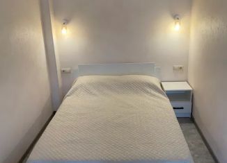 Сдаю в аренду квартиру студию, 35 м2, Самара, улица Осипенко, 14, Октябрьский район
