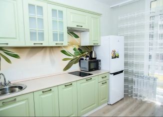 1-комнатная квартира в аренду, 40 м2, Белгородская область, улица Попова, 35Д