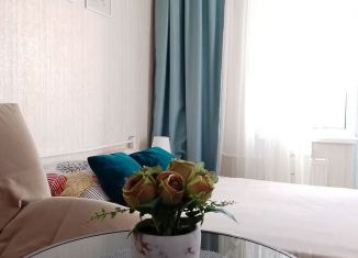Сдача в аренду квартиры студии, 24 м2, Пермь, улица Вильямса, 51А, Орджоникидзевский район