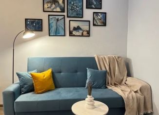 Сдаю однокомнатную квартиру, 43 м2, Иркутская область, улица Лыткина, 9/6