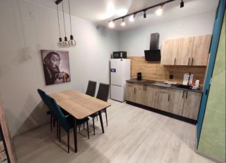 2-ком. квартира в аренду, 46 м2, Пермь, улица Малкова, 12, Дзержинский район