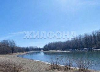 Продаю участок, 22 сот., Алтайский край, Береговая улица