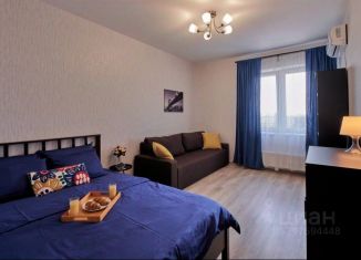 1-ком. квартира в аренду, 40 м2, Пермский край