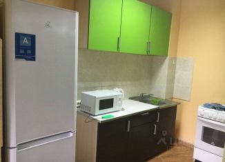 Сдача в аренду двухкомнатной квартиры, 50 м2, Иркутск, улица Терешковой, 17, Свердловский округ